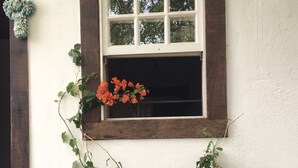A window with a wooden frame and a plant with green leaves and red flowers growing outside. - Vila Santíssima - high point of the Historic Center (Tiradentes)