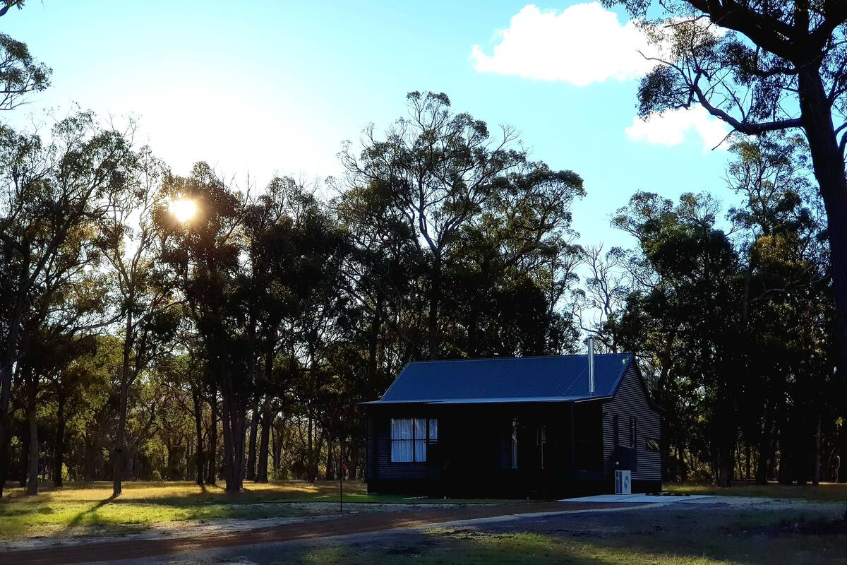 Deluxe Cabin, 1 King Bed with Sofa bed, Lake View | Premium bedding, pillowtop beds, blackout drapes, iron/ironing board