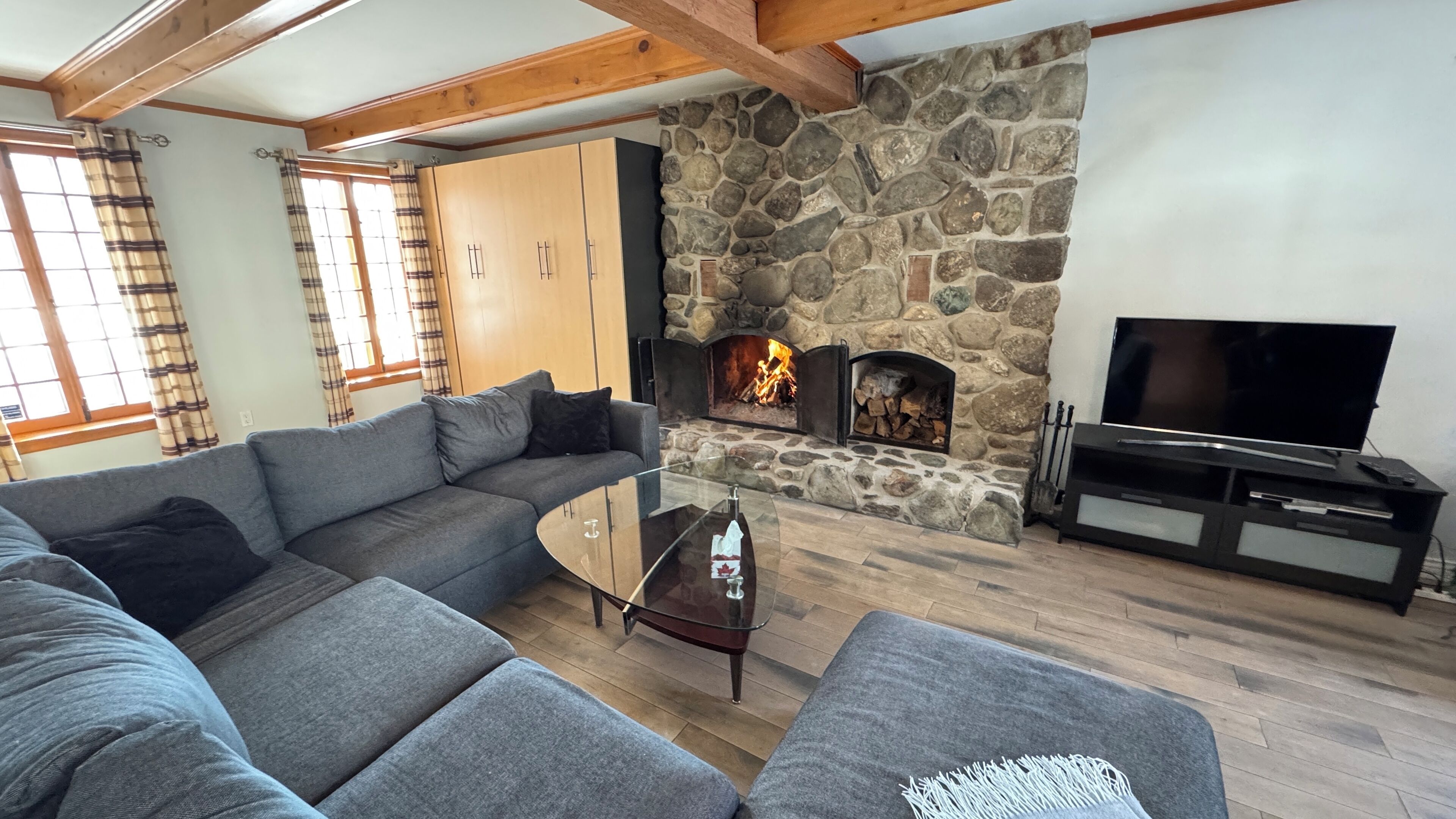 Smart TV, fireplace, DVD player, books