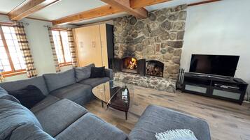 Smart TV, fireplace, DVD player, books