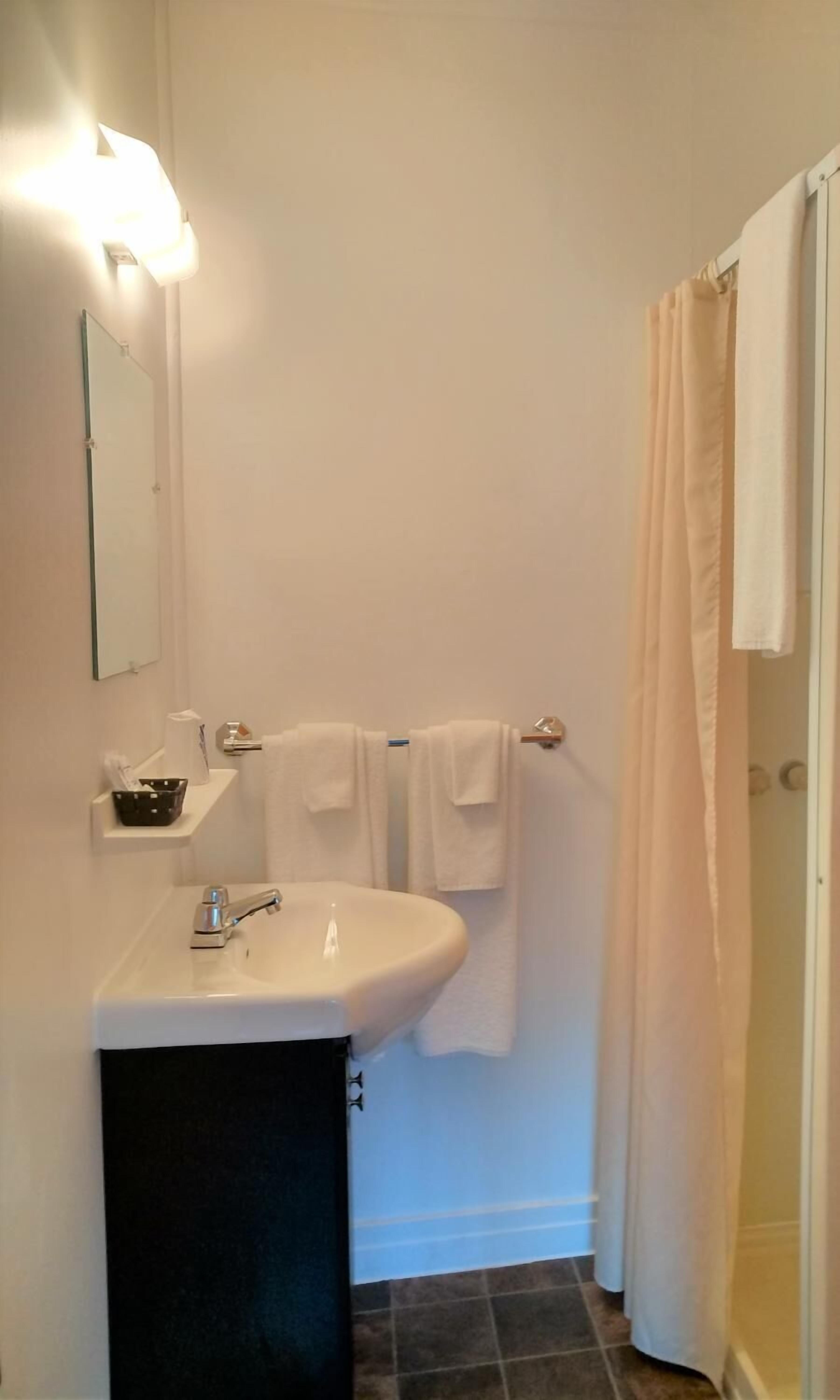 A bathroom with a white sink, a mirror, a towel rack with two towels, and a shower curtain.