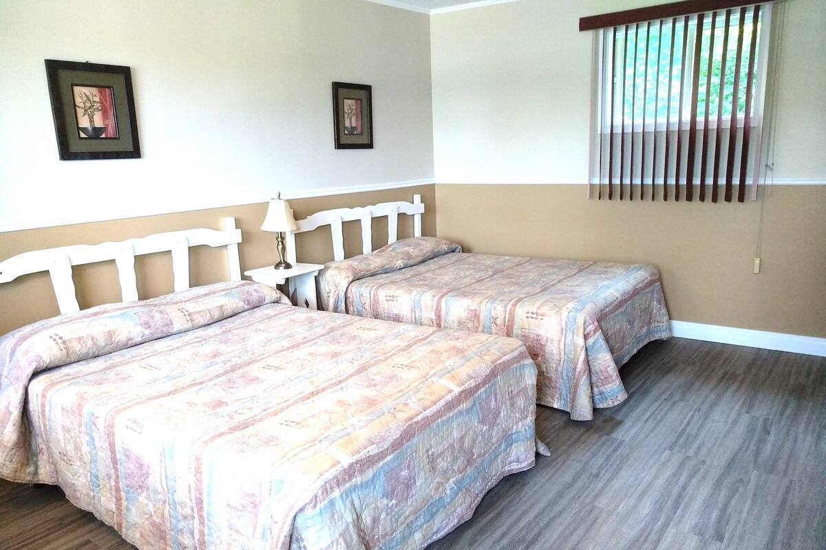 A room with two beds, a white headboard, a bedside table with a lamp, and a window with blinds.