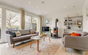 Smart TV, fireplace, DVD player, books