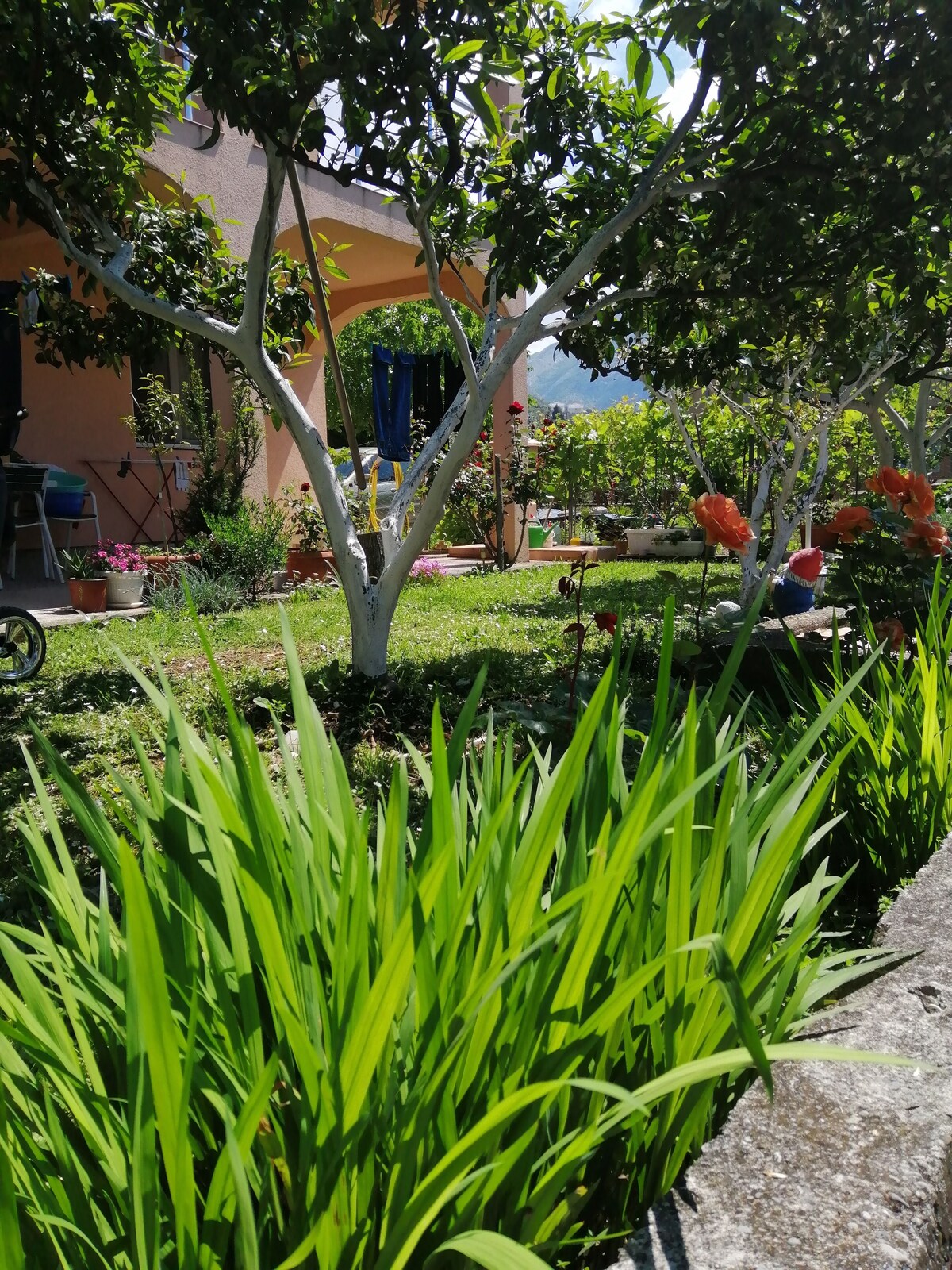 Imagen de perfil del propietario o de la propietaria