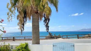 A coastal property with a palm tree, a white wall, and a blue gate. - Casa Del Mare - Unique Beachfront Cycladic Villa @ Agios Prokopios (Agios Prokopios)