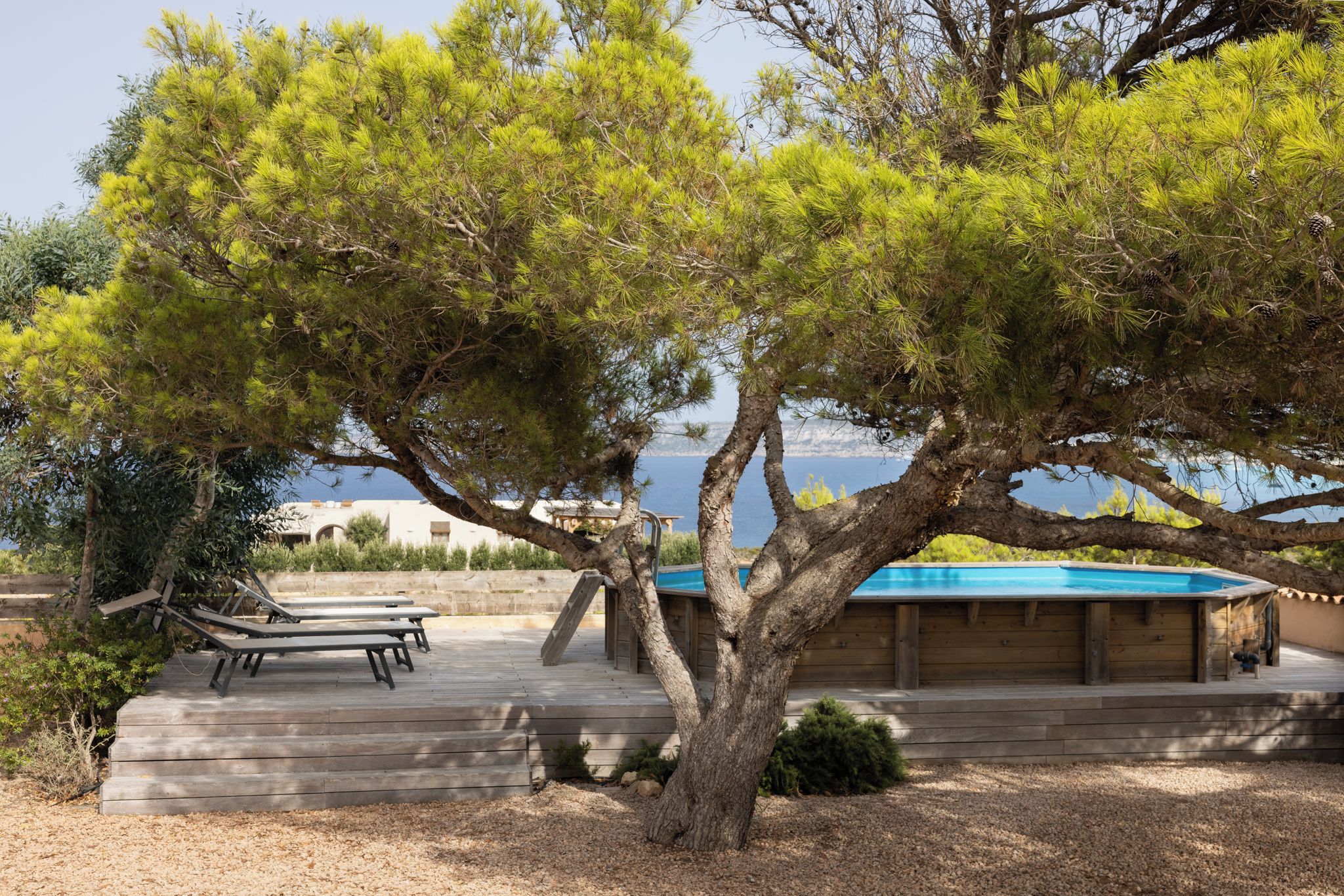 Un arbre amb una terrassa de fusta i una piscina al fons.