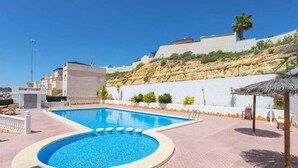 Une piscine à bord incurvé, entourée d’une zone dallée avec des chaises longues et un palmier.