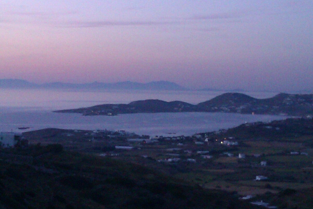 Imagen de perfil del propietario o de la propietaria