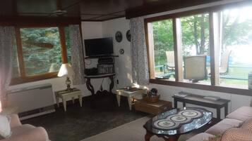 Télévision, cheminée, lecteur de DVD, médiathÚque