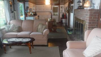 Télévision, cheminée, lecteur de DVD, médiathÚque