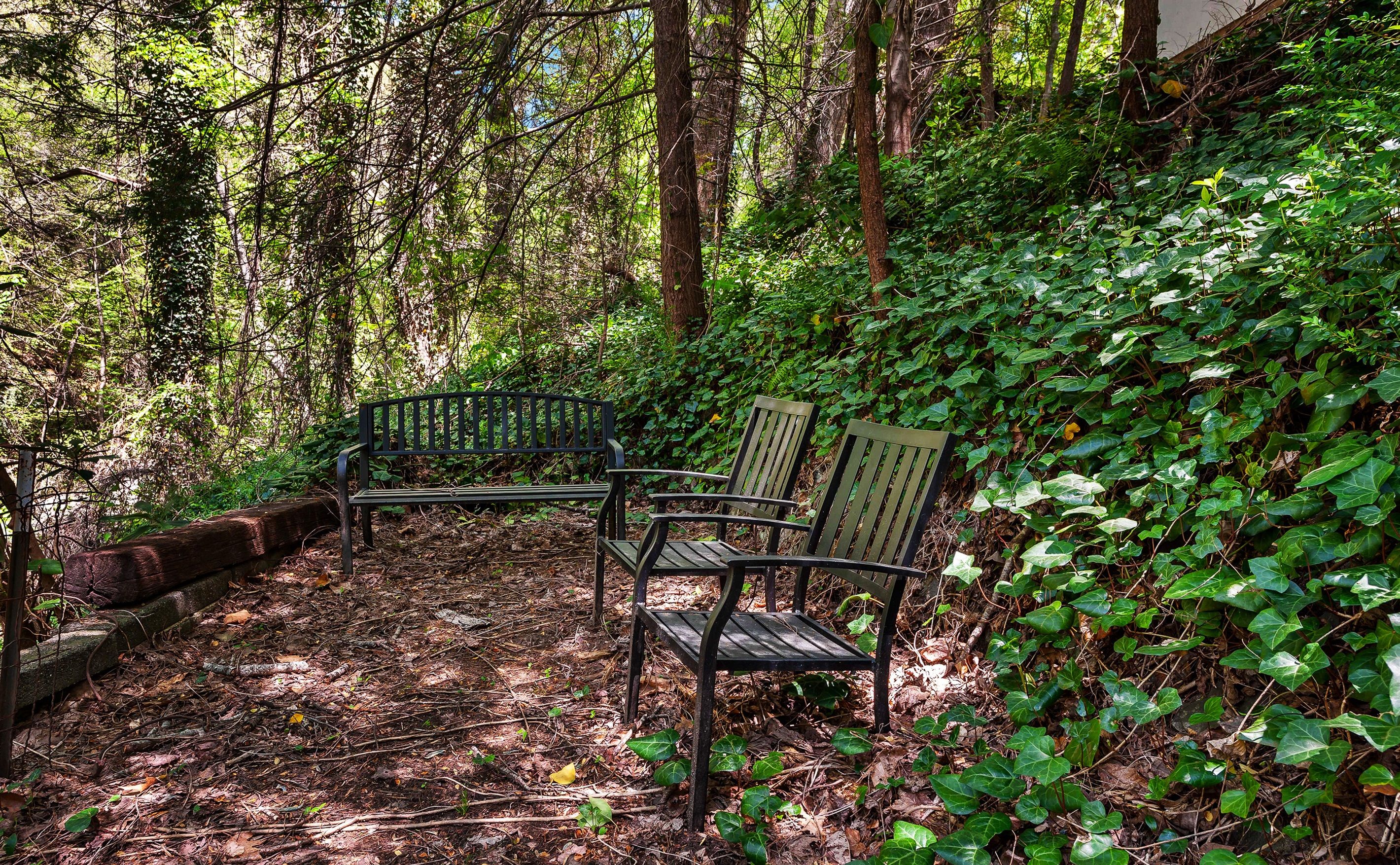 A bench in a forested area with dense foliage and trees.
