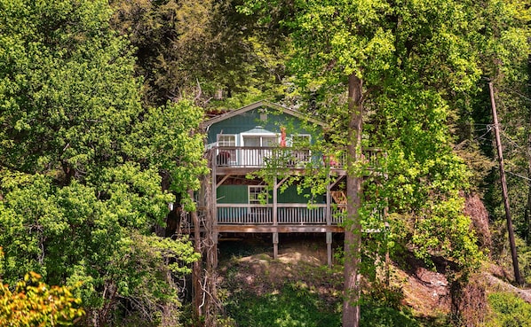 Une cabane à deux étages, entourée d’une forêt dense.