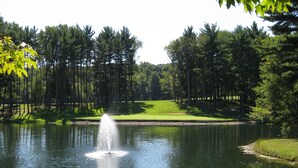 A tranquil pond with a fountain in the center, surrounded by a well-maintained grassy area and dense trees. - The Pines of Apple Valley.  31 beautiful vacation cabins. (Howard)