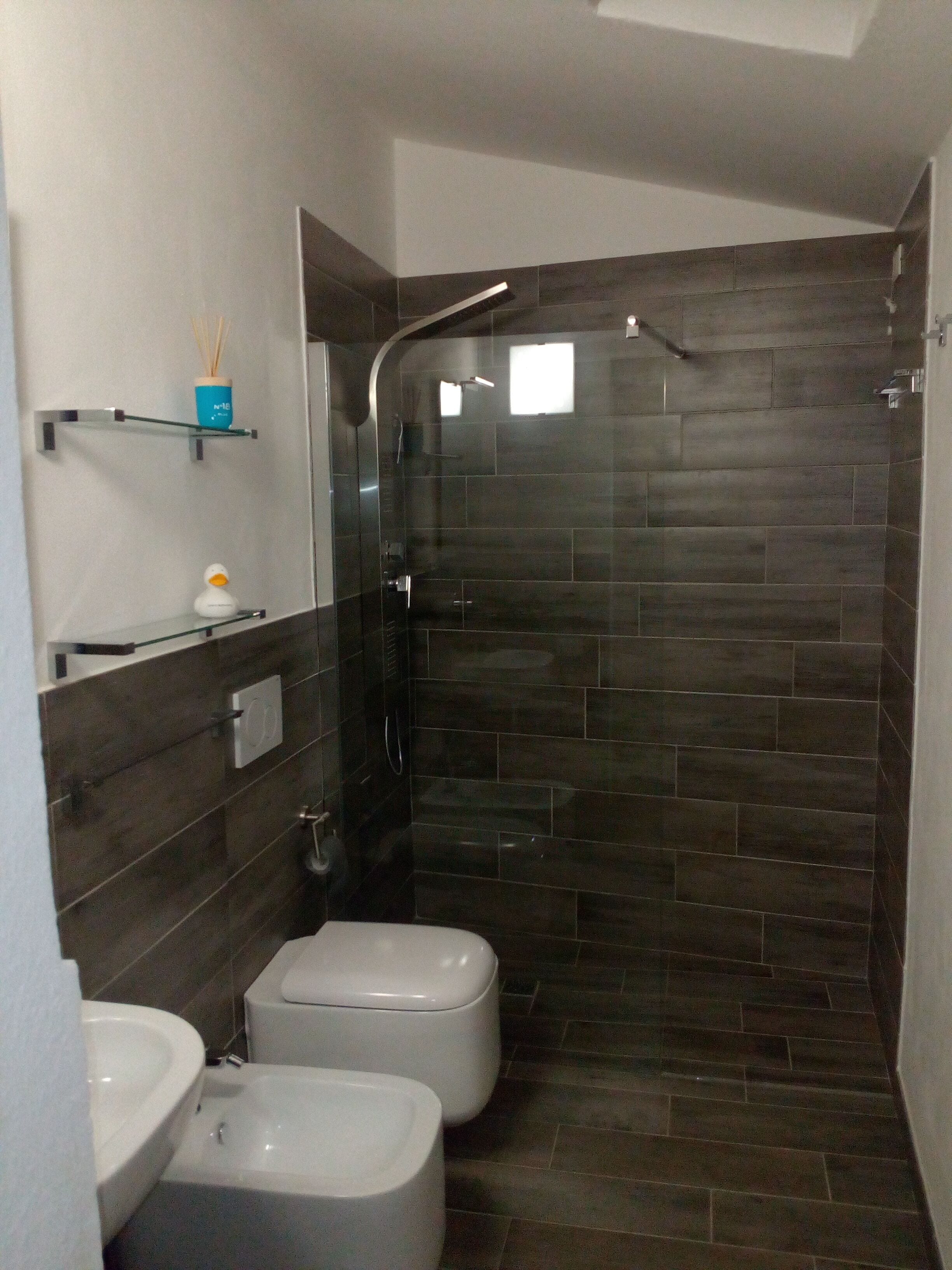 Dusche, Haartrockner, Bidet, Handtücher