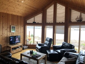 Smart TV, DVD player, video library, stereo