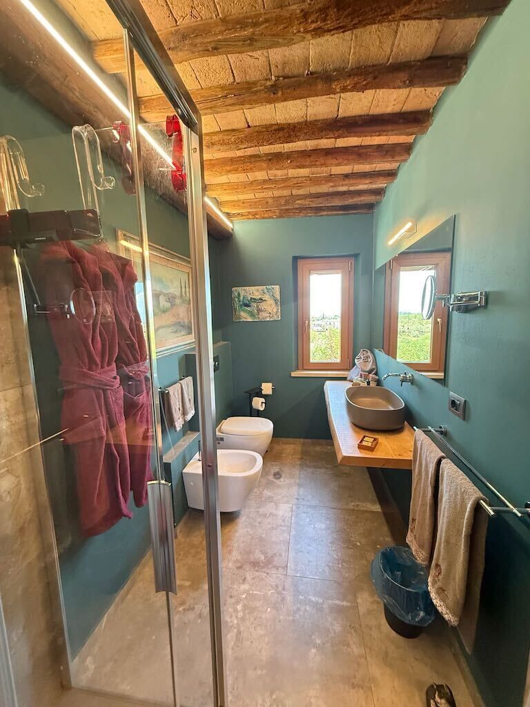 Shower, hair dryer, bathrobes, bidet