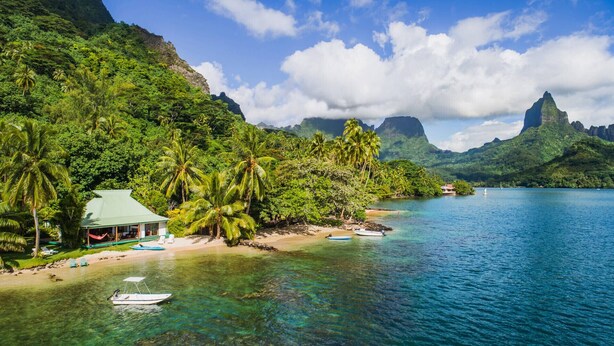 A beach with clear water, palm trees, and a small hut with a green roof. - Beach Villa Cook - Robinson's Cove (Papetoai)