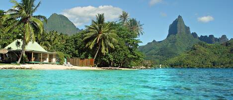 Beach nearby