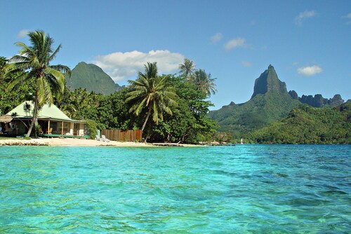 Beach Villa Cook - Robinson's Cove