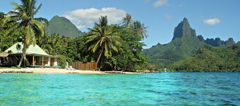 Beach Villa Cook - Robinson's Cove