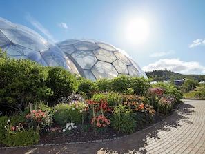 Une serre dotée de structures en forme de dôme transparentes, entourée d’une variété de plantes à fleurs et bordée d’un chemin pavé.