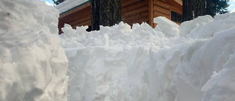 Un sendero cubierto de nieve que lleva a una cabaña de madera con techo nevado.