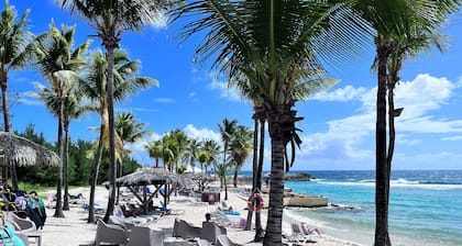 Caribluewave Appartements Manganao
