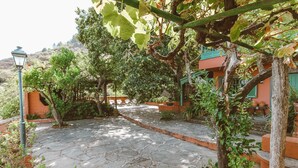 Un patio empedrado con una pérgola, follaje y un edificio con contraventanas verdes al fondo.