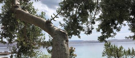 Àrea exterior de l'allotjament