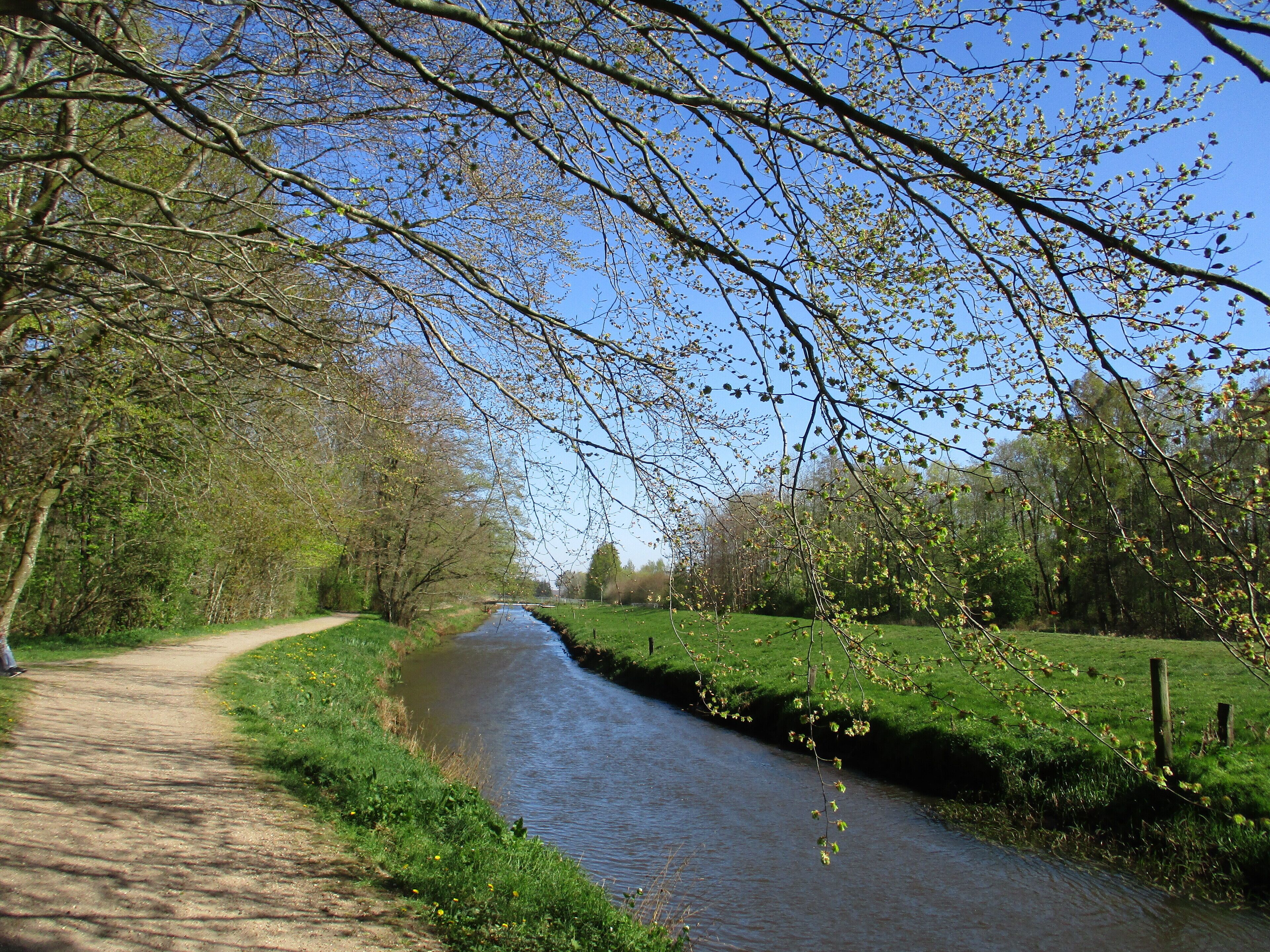 Un canal estrecho bordeado por árboles y un sendero de tierra.