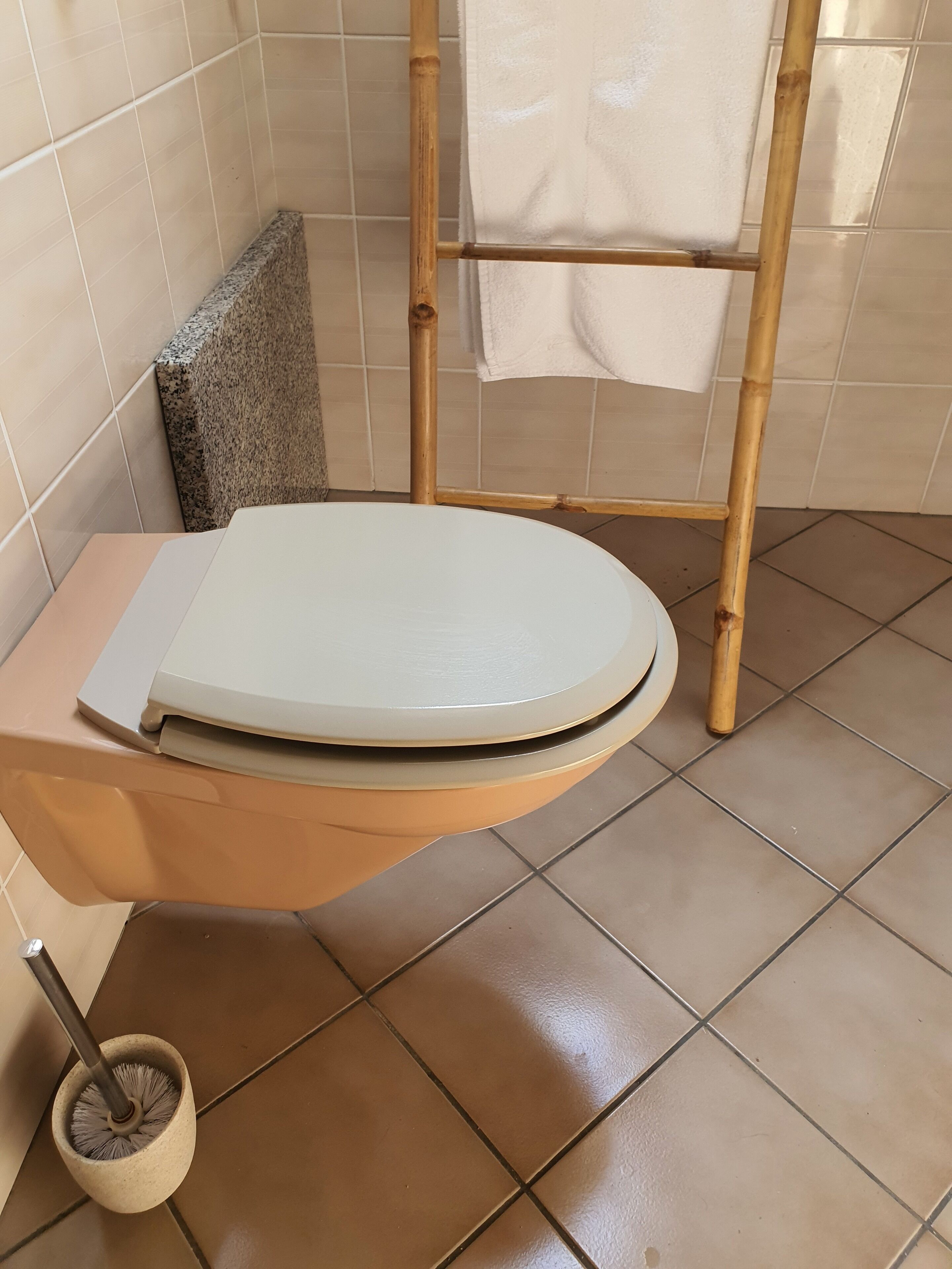 Ein Badezimmer mit Toilette, einem Mopp und einer Bambusleiter.