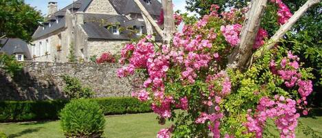 Àrea exterior de l'allotjament