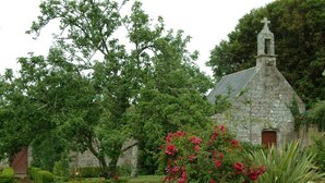 Una iglesia de piedra con una cruz en la parte superior, rodeada de abundante vegetación y plantas en flor.