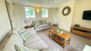 Smart TV, fireplace, DVD player, books