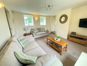 TV connectée, cheminée, lecteur de DVD, livres