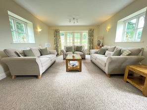 TV connectée, cheminée, lecteur de DVD, livres