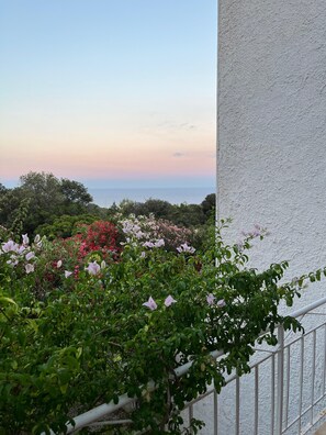 Property grounds - HOUSE WITH GARDEN.  LAST MINUTE SEPTEMBER (Cala Gonone)