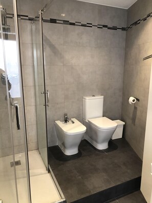 Bathtub, hair dryer, bidet, towels