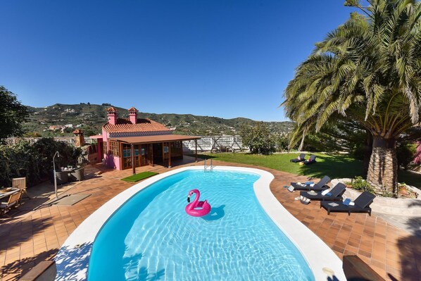 A swimming pool with a pink flamingo float, surrounded by lounge chairs and a palm tree.