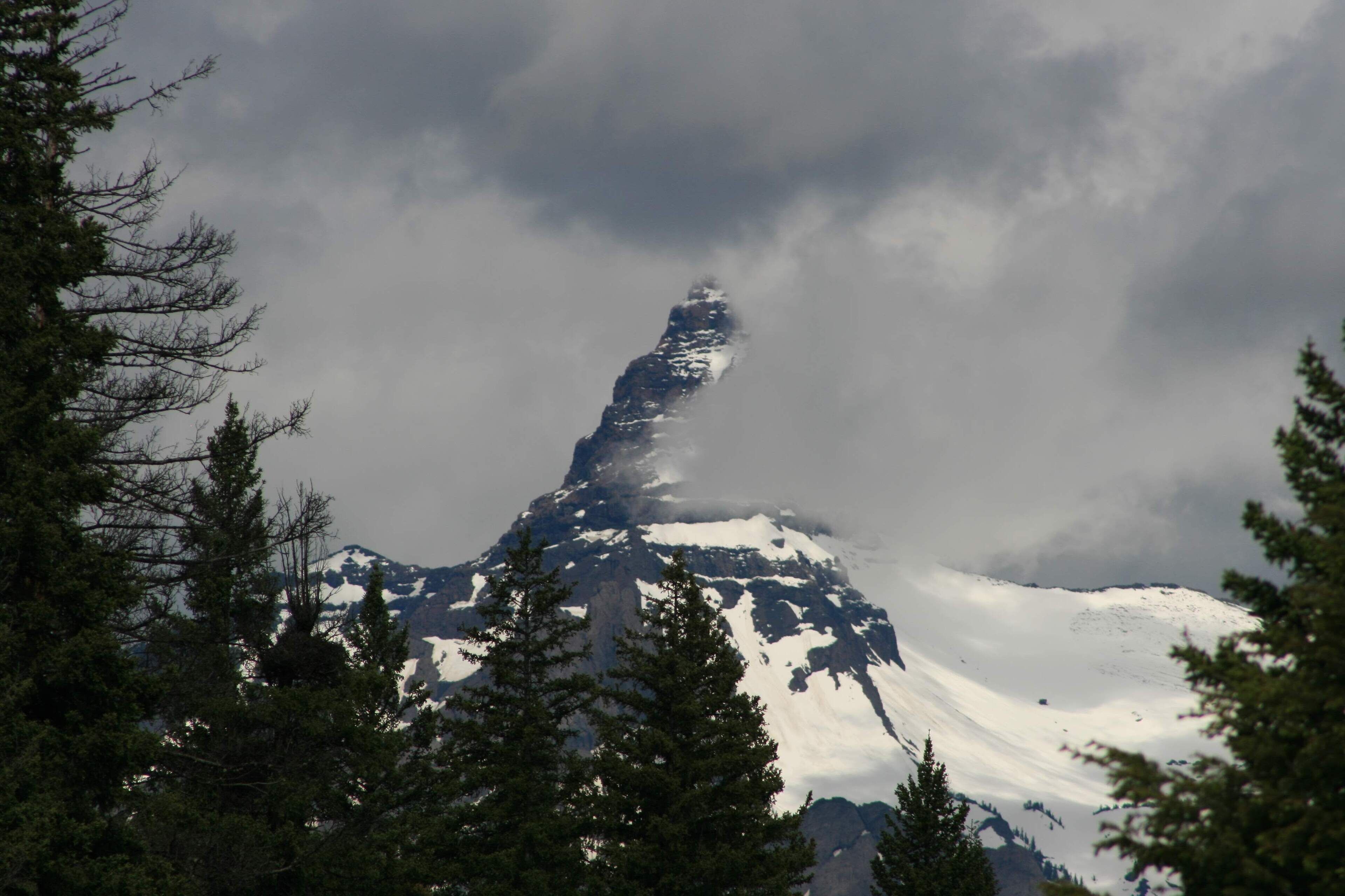 A snow-covered mountain with a prominent peak, surrounded by evergreen trees.