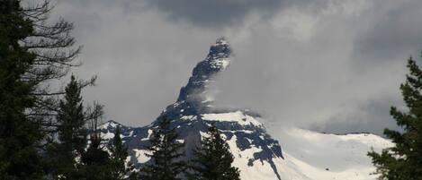 A snow-covered mountain with a prominent peak, surrounded by evergreen trees.