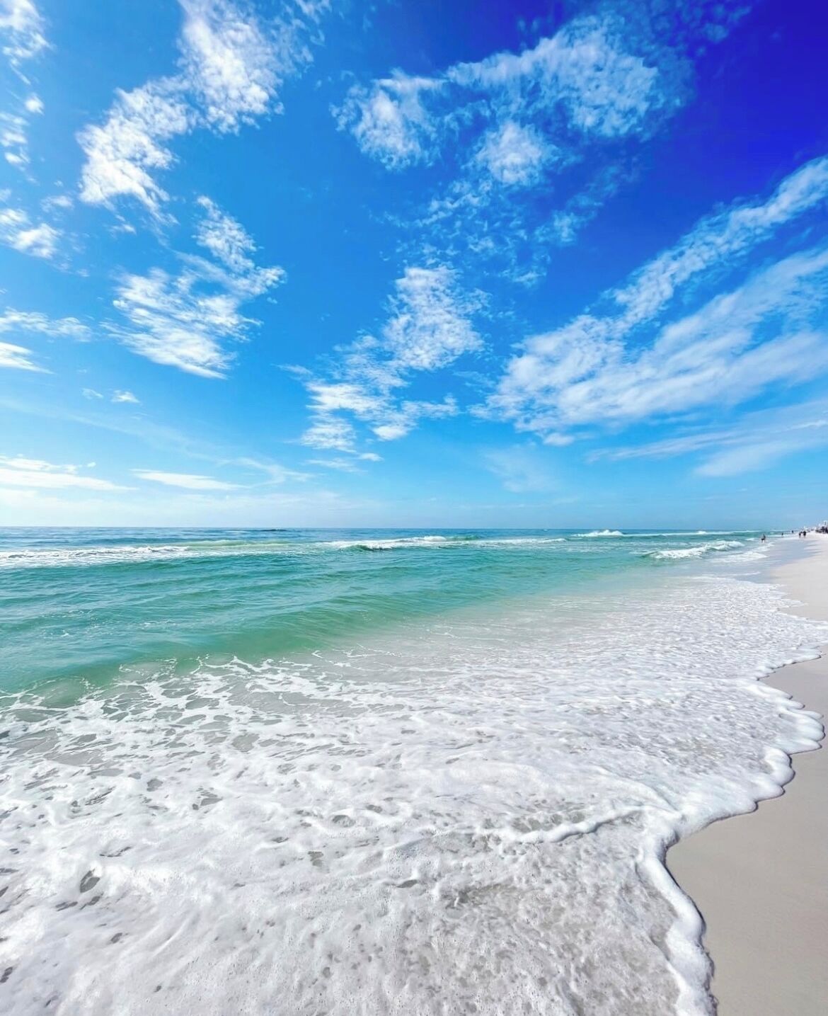 Playa en los alrededores y camastros 