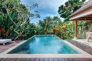 室外游泳池，池畔遮阳伞，日光浴躺椅