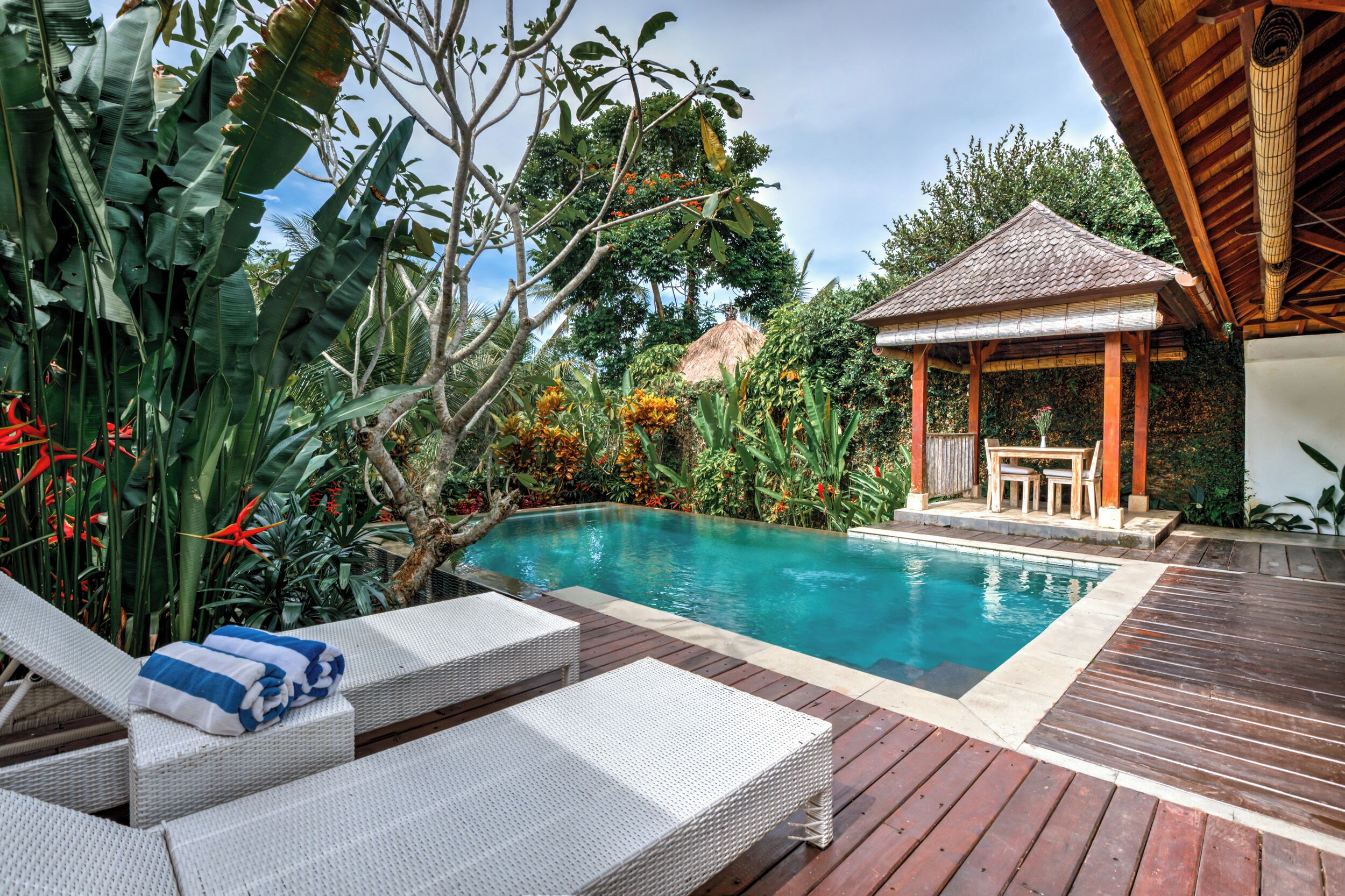 Una piscina al aire libre, sombrillas, sillones reclinables de piscina