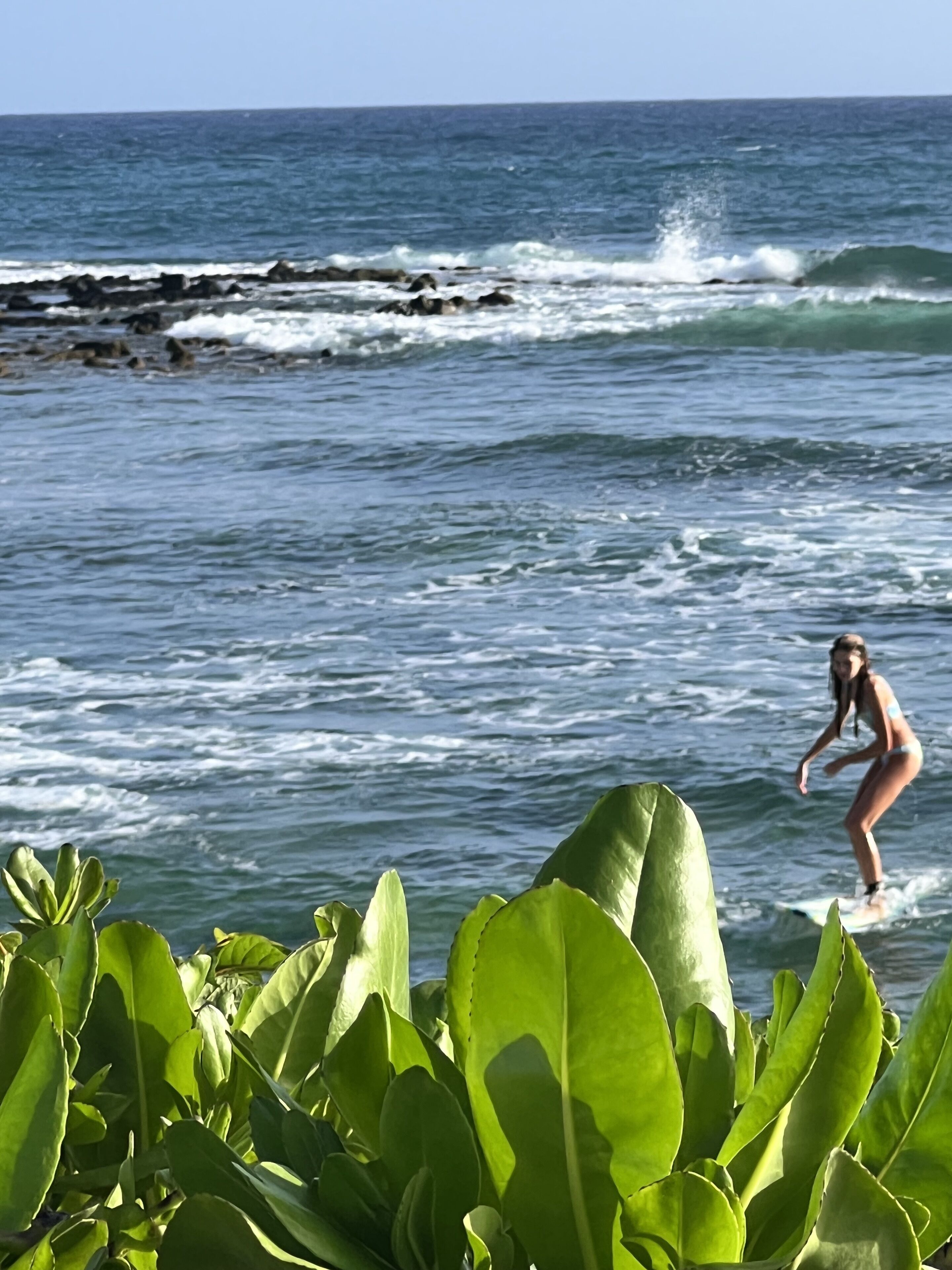 Beach nearby, sun loungers, beach towels