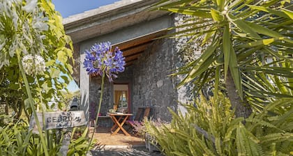 Quinta Devónia - Cedro,country house with sea view