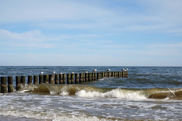 Imagen sin descripción, 1 de 14, botón