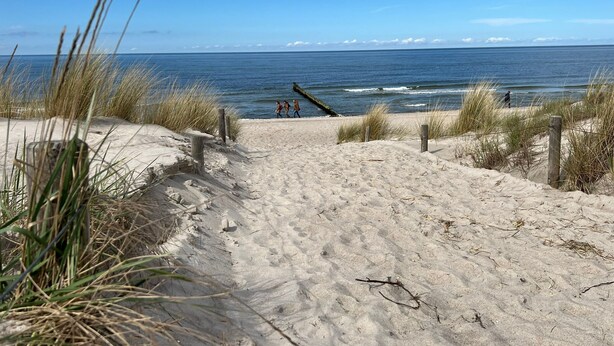 A sandy beach path leading to the ocean with tall grasses and a wooden fence. - *Anker Vacation Rental at Villa Victoria - GM 69836 - *Anker Vacation Rental at Villa Victoria (Graal-Müritz)