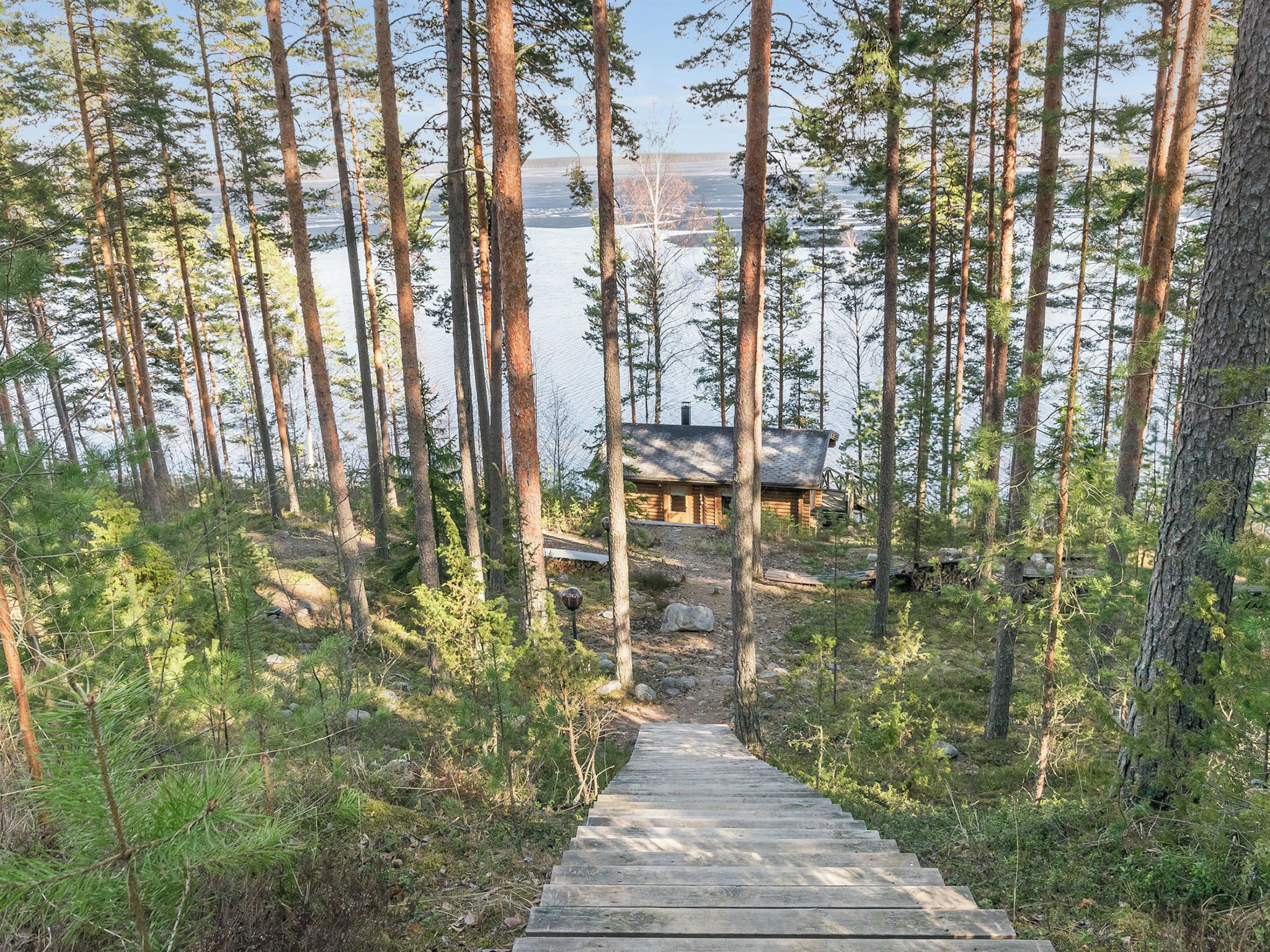 A wooden staircase leading to a cabin surrounded by tall pine trees.