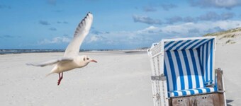 Holiday house at the marina